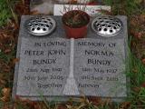 image of grave number 916671